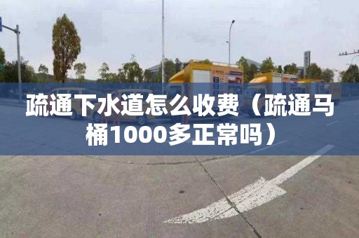 疏通下水道怎么收費（疏通馬桶1000多正常嗎）