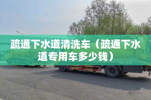 疏通下水道清洗車（疏通下水道專用車多少錢）