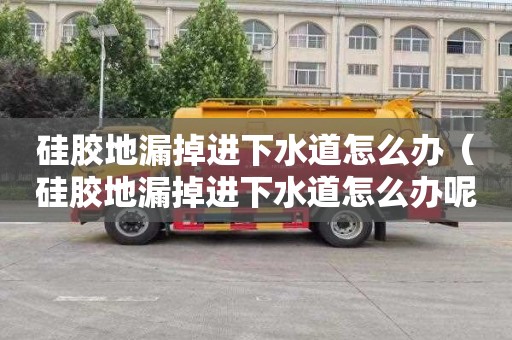 硅膠地漏掉進下水道怎么辦（硅膠地漏掉進下水道怎么辦呢）