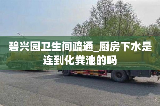 碧興園衛生間疏通_廚房下水是連到化糞池的嗎