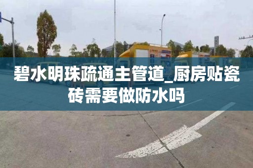 碧水明珠疏通主管道_廚房貼瓷磚需要做防水嗎