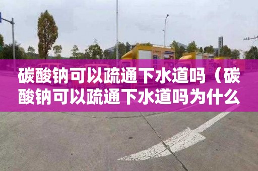 碳酸鈉可以疏通下水道嗎（碳酸鈉可以疏通下水道嗎為什么）