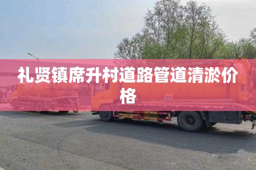 禮賢鎮席升村道路管道清淤價格