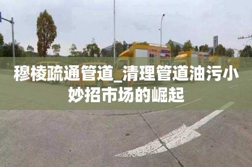 穆棱疏通管道_清理管道油污小妙招市場(chǎng)的崛起