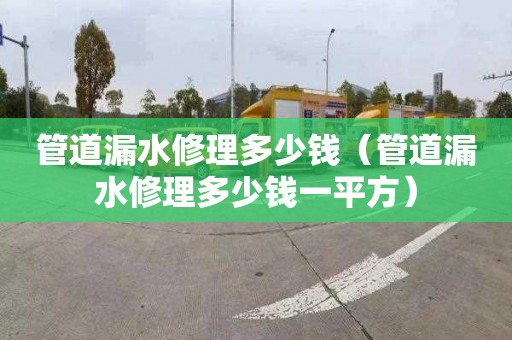 管道漏水修理多少錢（管道漏水修理多少錢一平方）