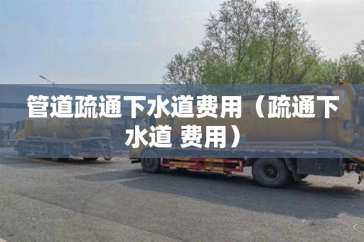 管道疏通下水道費用（疏通下水道 費用）