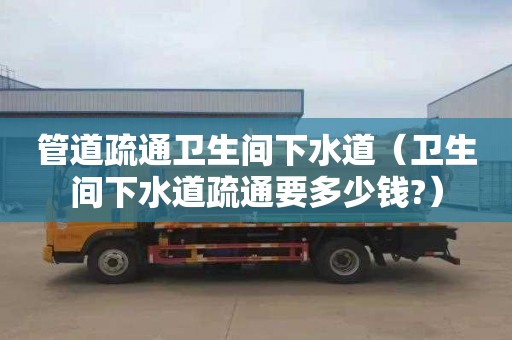 管道疏通衛生間下水道（衛生間下水道疏通要多少錢?）