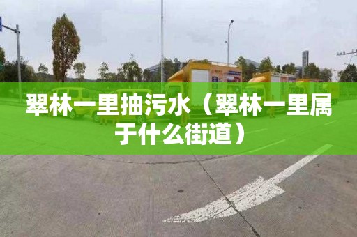 翠林一里抽污水（翠林一里屬于什么街道）