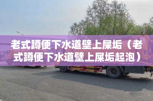 老式蹲便下水道壁上屎垢（老式蹲便下水道壁上屎垢起泡）