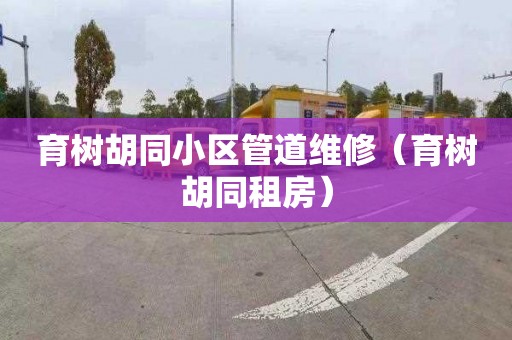 育樹胡同小區管道維修（育樹胡同租房）