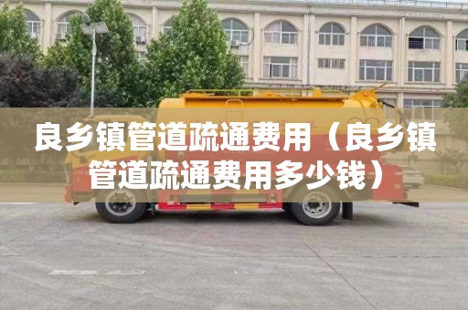 良鄉鎮管道疏通費用（良鄉鎮管道疏通費用多少錢）