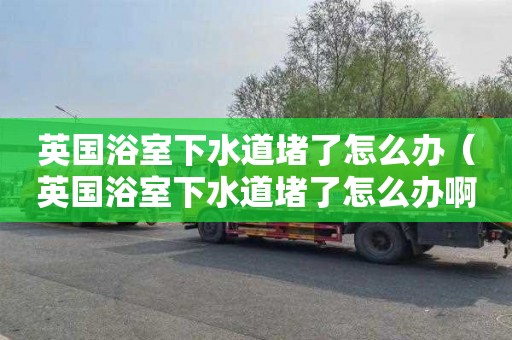 英國浴室下水道堵了怎么辦（英國浴室下水道堵了怎么辦啊）