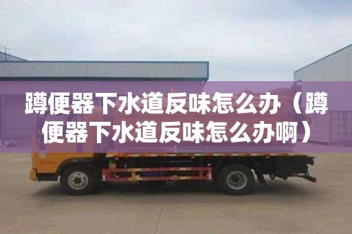 蹲便器下水道反味怎么辦（蹲便器下水道反味怎么辦?。?></div>
            <div   id=