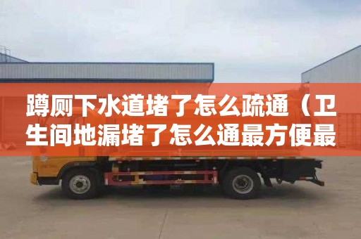 蹲廁下水道堵了怎么疏通（衛生間地漏堵了怎么通最方便最快）