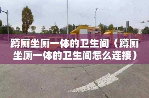 蹲廁坐廁一體的衛生間（蹲廁坐廁一體的衛生間怎么連接）