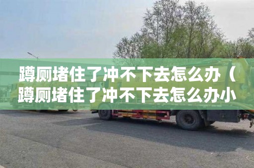 蹲廁堵住了沖不下去怎么辦（蹲廁堵住了沖不下去怎么辦小妙招）