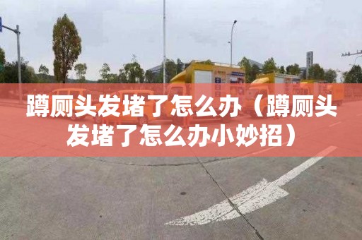 蹲廁頭發堵了怎么辦（蹲廁頭發堵了怎么辦小妙招）