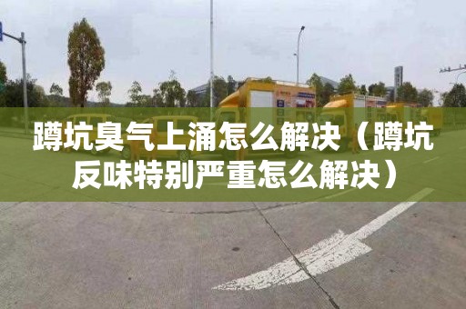 蹲坑臭氣上涌怎么解決（蹲坑反味特別嚴重怎么解決）