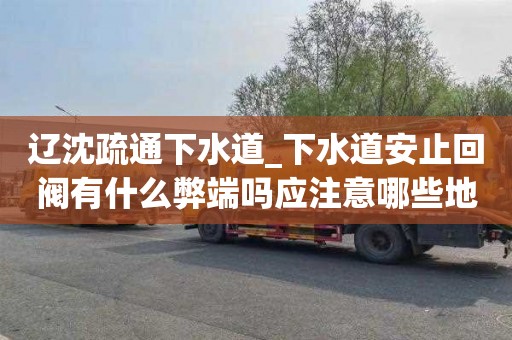 遼沈疏通下水道_下水道安止回閥有什么弊端嗎應注意哪些地方