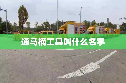 通馬桶工具叫什么名字