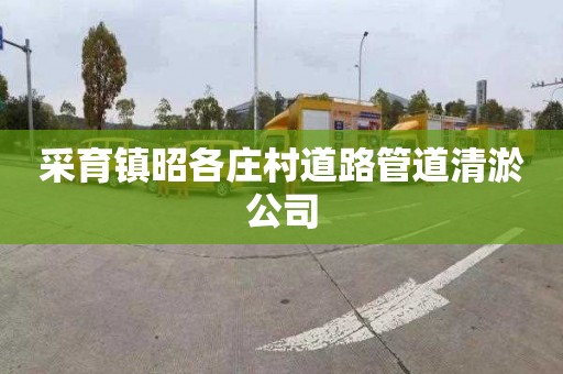 采育鎮昭各莊村道路管道清淤公司