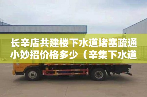 長辛店共建樓下水道堵塞疏通小妙招價格多少（辛集下水道疏通）