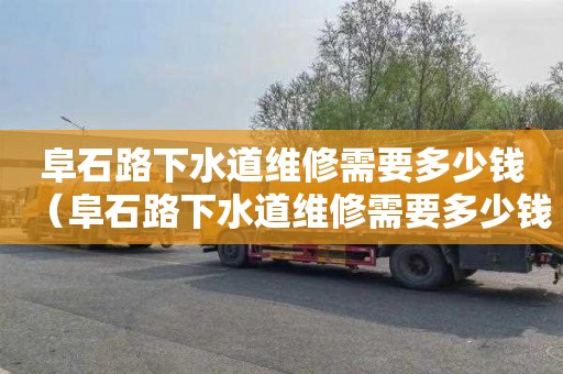 阜石路下水道維修需要多少錢（阜石路下水道維修需要多少錢費用）