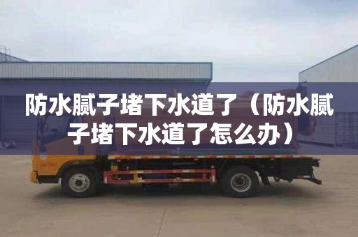 防水膩子堵下水道了（防水膩子堵下水道了怎么辦）