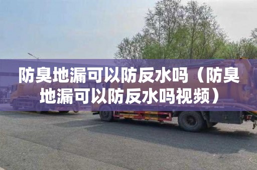 防臭地漏可以防反水嗎（防臭地漏可以防反水嗎視頻）