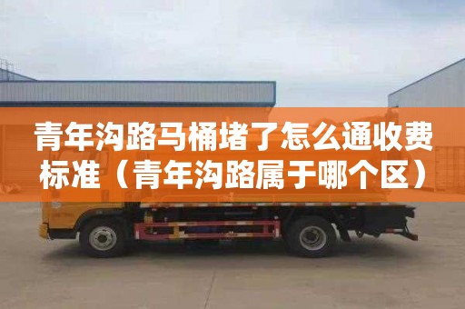 青年溝路馬桶堵了怎么通收費標(biāo)準(zhǔn)（青年溝路屬于哪個區(qū)）