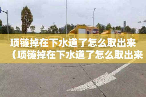 項鏈掉在下水道了怎么取出來（項鏈掉在下水道了怎么取出來圖解）