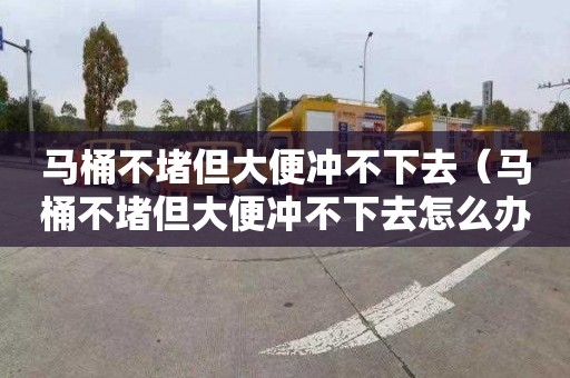 馬桶不堵但大便沖不下去（馬桶不堵但大便沖不下去怎么辦）