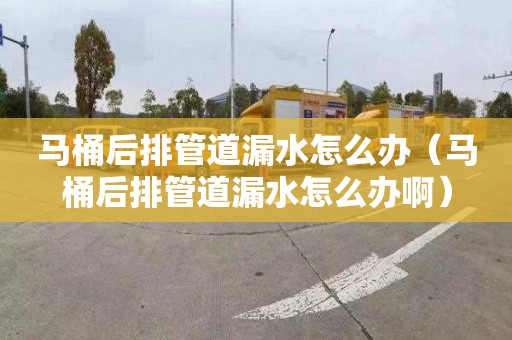 馬桶后排管道漏水怎么辦（馬桶后排管道漏水怎么辦啊）