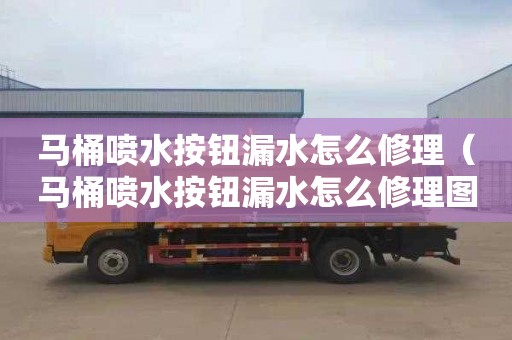 馬桶噴水按鈕漏水怎么修理（馬桶噴水按鈕漏水怎么修理圖解）