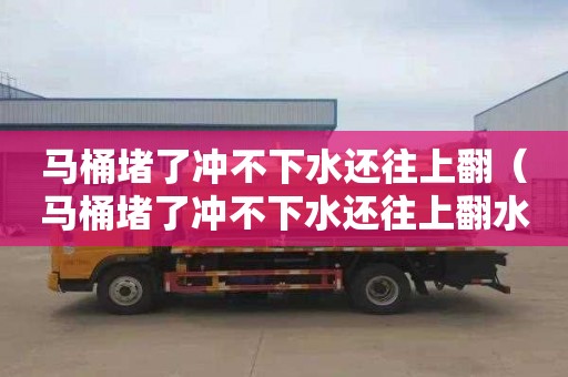 馬桶堵了沖不下水還往上翻（馬桶堵了沖不下水還往上翻水箱一直有水）