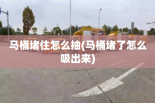 馬桶堵住怎么抽(馬桶堵了怎么吸出來(lái))