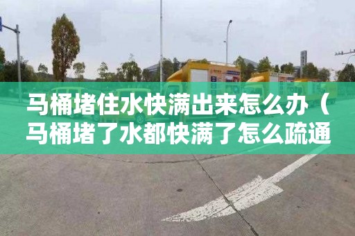 馬桶堵住水快滿出來怎么辦（馬桶堵了水都快滿了怎么疏通）