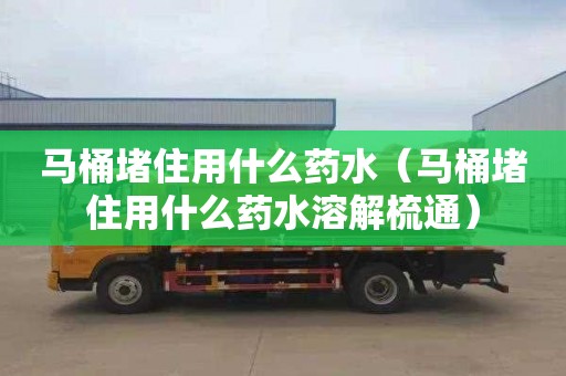 馬桶堵住用什么藥水（馬桶堵住用什么藥水溶解梳通）