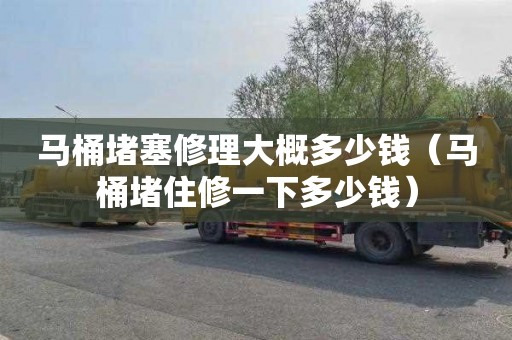 馬桶堵塞修理大概多少錢（馬桶堵住修一下多少錢）