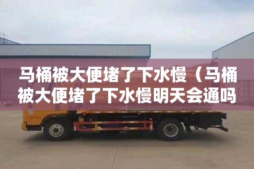 馬桶被大便堵了下水慢（馬桶被大便堵了下水慢明天會(huì)通嗎）