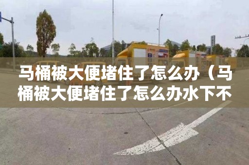 馬桶被大便堵住了怎么辦（馬桶被大便堵住了怎么辦水下不下去）