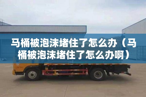 馬桶被泡沫堵住了怎么辦（馬桶被泡沫堵住了怎么辦啊）