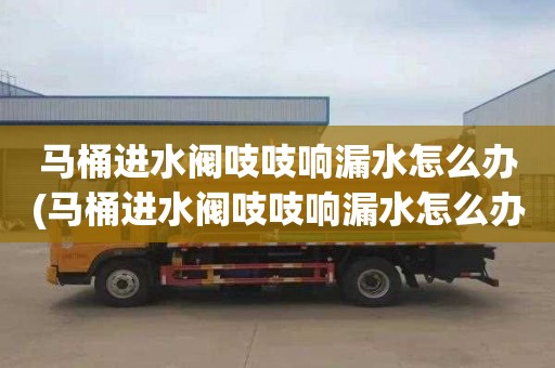 馬桶進水閥吱吱響漏水怎么辦(馬桶進水閥吱吱響漏水怎么辦啊)