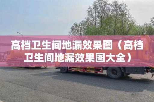 高檔衛生間地漏效果圖（高檔衛生間地漏效果圖大全）