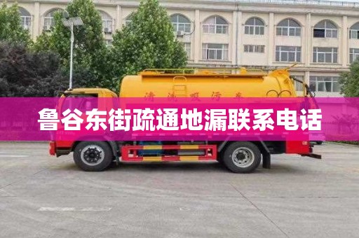 魯谷東街疏通地漏聯(lián)系電話