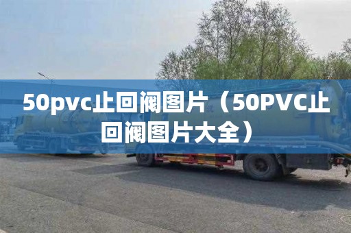 50pvc止回閥圖片（50PVC止回閥圖片大全）