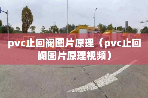 pvc止回閥圖片原理（pvc止回閥圖片原理視頻）