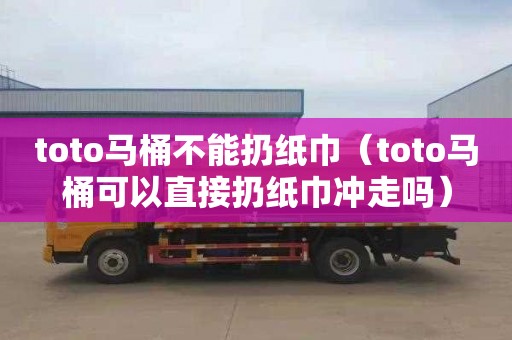 toto馬桶不能扔紙巾（toto馬桶可以直接扔紙巾沖走嗎）