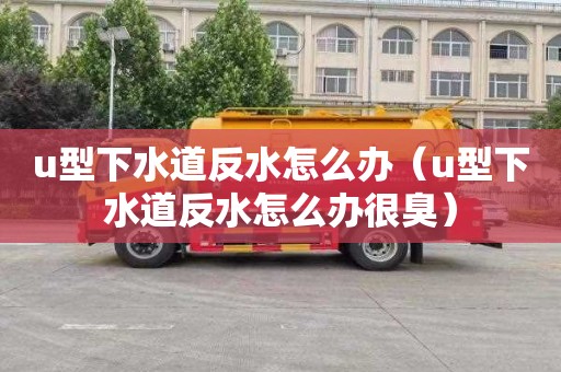 u型下水道反水怎么辦（u型下水道反水怎么辦很臭）