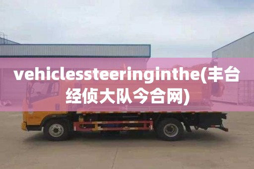 vehiclessteeringinthe(豐臺經(jīng)偵大隊今合網(wǎng))